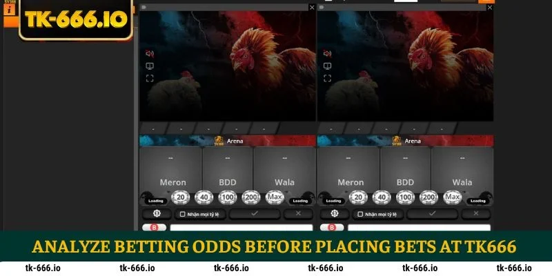 Analyze betting odds before placing bets at TK666