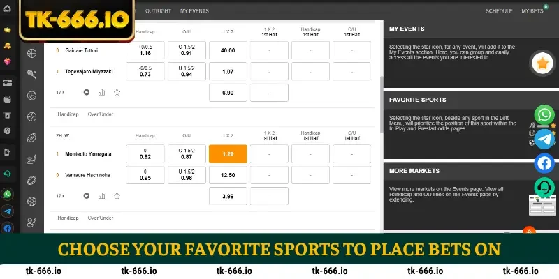 Choose your favorite sports to place bets on