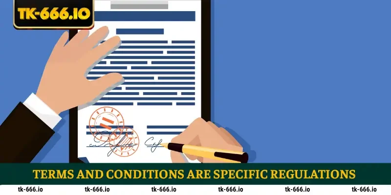 Terms and conditions are specific regulations