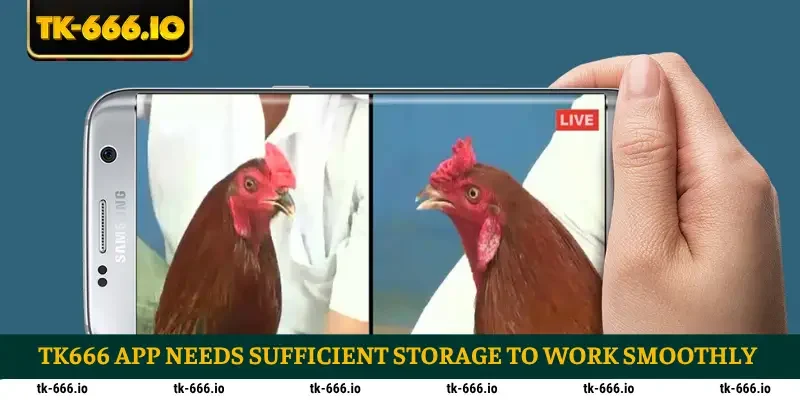 TK666 app needs sufficient storage to work smoothly